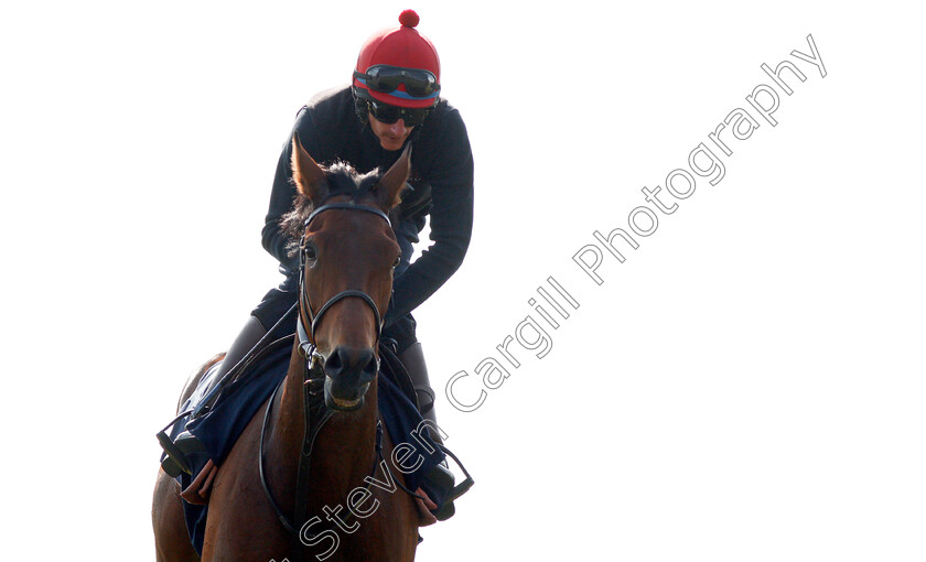 Perfect-Clarity-0013 
 PERFECT CLARITY (Adam, Kirby) exercising at Epsom Racecourse in preparation for The Investec Oaks, 22 May 2018 - Pic Steven Cargill / Racingfotos.com