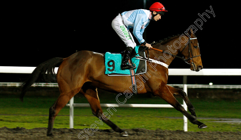 Verdana-Blue-0004 
 VERDANA BLUE (Luke Morris)
Kempton 5 Dec 2018 - Pic Steven Cargill / Racingfotos.com