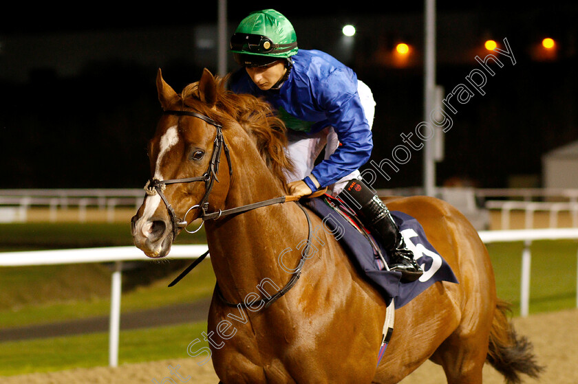 Hathal-0001 
 HATHAL (Nicola Currie) winner of The Betway Conditions Stakes
Wolverhampton 7 Jan 2019 - Pic Steven Cargill / Racingfotos.com