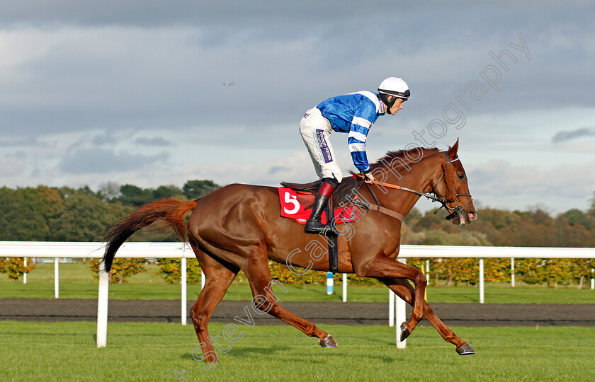 San-Benedeto-0001 
 SAN BENEDETO (Sam Twiston-Davies) Kempton 22 Oct 2017 - Pic Steven Cargill / Racingfotos.com