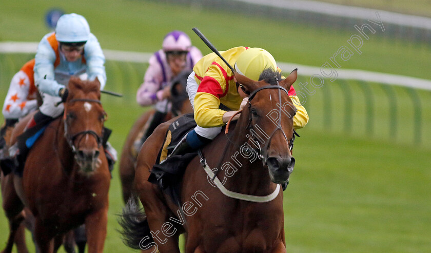 Divina-Grace-0002 
 DIVINA GRACE (Callum Shepherd) wins The Graham Budd Art & Memorabilia Auction Handicap
Newmarket 28 Sep 2023 - Pic Steven Cargill / Racingfotos.com