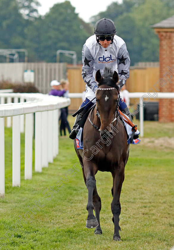 Sweet-Harmony 
 SWEET HARMONY (Jim Crowley)
York 18 Aug 2022 - Pic Steven Cargill / Racingfotos.com