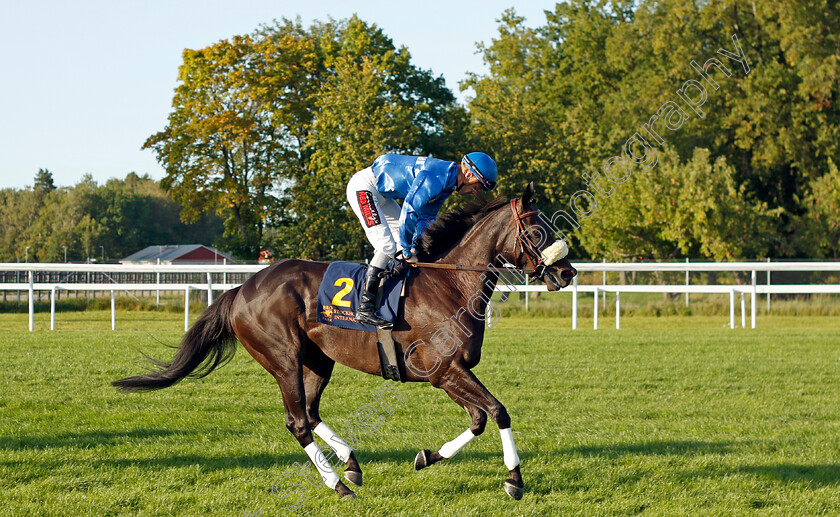 Go-On-Carlras-0003 
 GO ON CARLRAS (Nicolaj Stott)
Bro Park 17 Sep 2023 - Pic Steven Cargill / Racingfotos.com