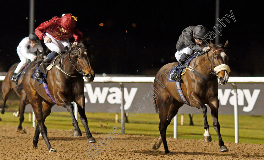 I-Love-You-Baby-0002 
 I LOVE YOU BABY (Luke Morris) beats QATAR QUEEN (left) in The Ladbrokes Fillies Novice Stakes
Wolverhampton 19 Dec 2019 - Pic Steven Cargill / Racingfotos.com