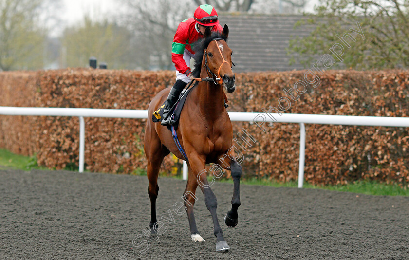 Magnificent-0001 
 MAGNIFICENT (Tom Marquand) Kempton 11 Apr 2018 - Pic Steven Cargill / Racingfotos.com