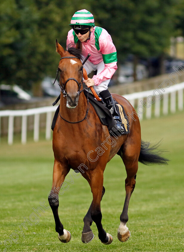 Fulfilled-0002 
 FULFILLED (Jamie Spencer) winner of The Racing TV Free For A Month Handicap
Newmarket 22 Jul 2022 - Pic Steven Cargill / Racingfotos.com