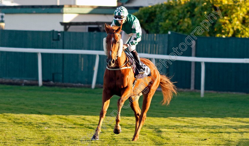 Ravi-Road-0001 
 RAVI ROAD (Tyler Heard)
Yarmouth 18 Oct 2022 - Pic Steven Cargill / Racingfotos.com