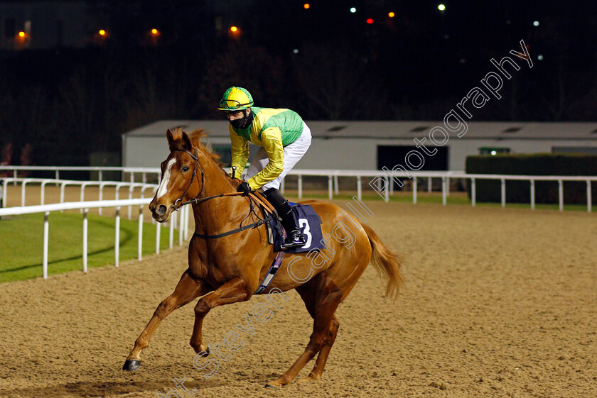 Carmenere-0001 
 CARMENERE (Charles Bishop)
Wolverhampton 18 Jan 2021 - Pic Steven Cargill / Racingfotos.com