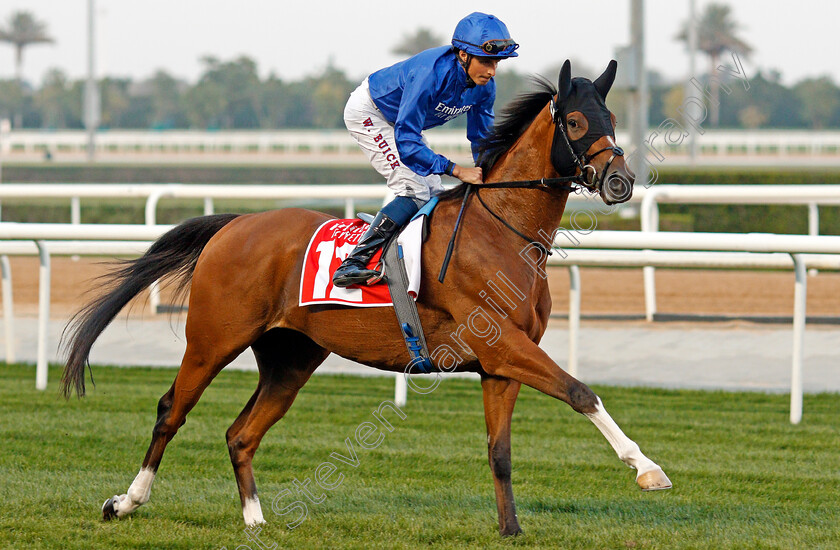 Barney-Roy-0002 
 BARNEY ROY (William Buick) winner of The Jebel Hatta
Meydan 7 Mar 2020 - Pic Steven Cargill / Racingfotos.com