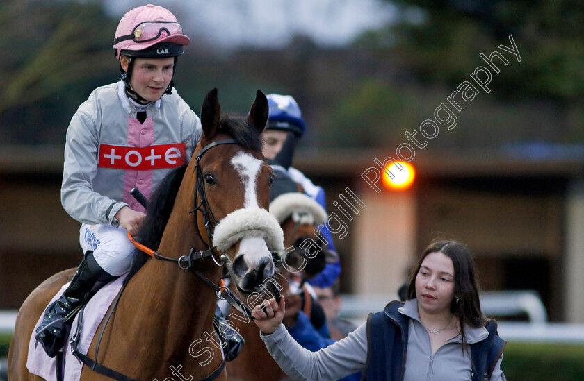 Majolica-0001 
 MAJOLICA (Barry Lewis)
Kempton 14 Feb 2024 - Pic Steven Cargill / Racingfotos.com