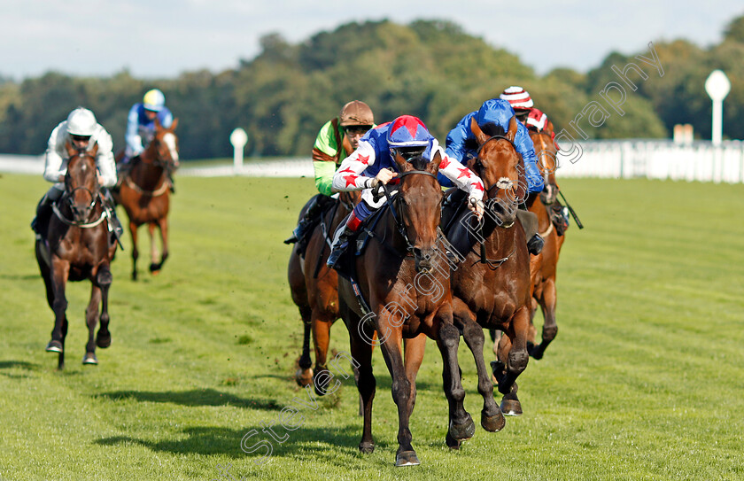 Great-Hall-0003 
 GREAT HALL (centre, Fran Berry) beats ALQAMAR (right) in The Victoria Racing Club Handicap Ascot 8 Sep 2017 - Pic Steven Cargill / Racingfotos.com