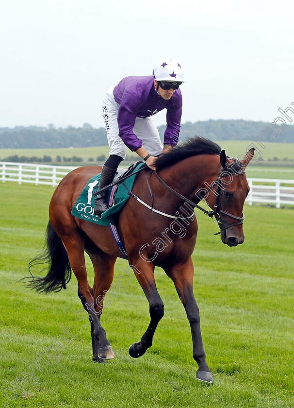 Bucanero-Fuerte-0001 
 BUCANERO FUERTE (Kevin Stott)
The Curragh 10 Sep 2023 - Pic Steven Cargill / Racingfotos.com