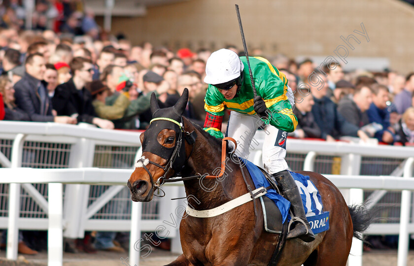 Dame-De-Compagnie-0008 
 DAME DE COMPAGNIE (Barry Geraghty) wins The Coral Cup
Cheltenham 11 Mar 2020 - Pic Steven Cargill / Racingfotos.com