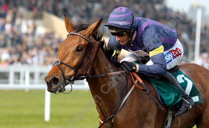 Bob-Mahler-0006 
 BOB MAHLER (Daryl Jacob) wins The Arkells Brewery Nicholson Holman Novices Limited Handicap Chase
Cheltenham 17 Apr 2019 - Pic Steven Cargill / Racingfotos.com