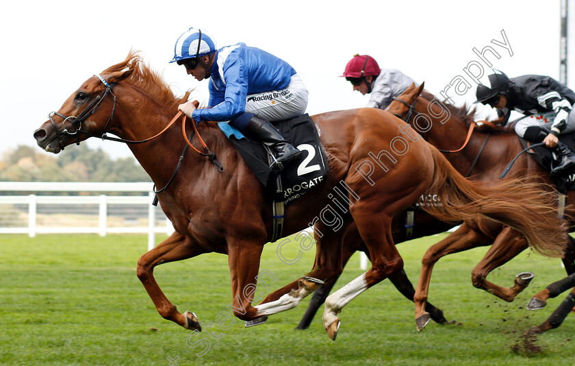 Tabdeed-0005 
 TABDEED (Jim Crowley) wins The Original Harrogate Water Handicap
Ascot 5 Oct 2018 - Pic Steven Cargill / Racingfotos.com