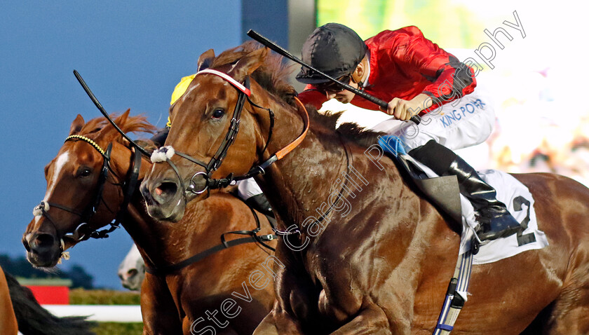 Beccara-Rose-0001 
 BECCARA ROSE (Harry Davies) wins The NFRC Irish EBF Maiden Fillies Stakes
Kempton 8 Sep 2023 - Pic Steven Cargill / Racingfotos.com