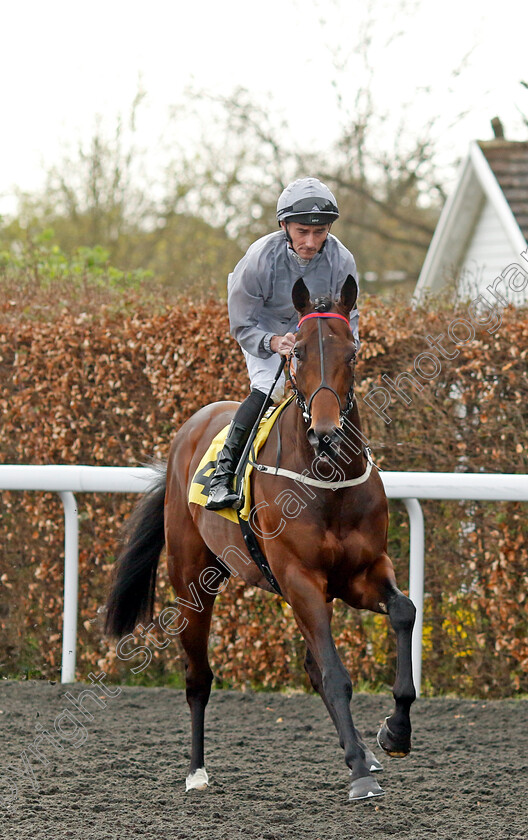 Native-Warrior-0001 
 NATIVE WARRIOR (Daniel Tudhope)
Kempton 6 Apr 2024 - Pic Steven Cargill / Racingfotos.com