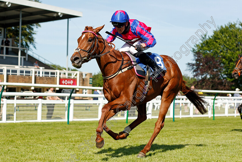 Decora-0002 
 DECORA (Trevor Whelan) wins The Follow @mansionbet Handicap
Salisbury 8 Jun 2021 - Pic Steven Cargill / Racingfotos.com