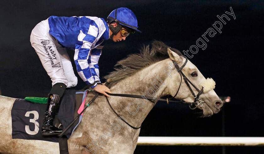 Perfect-Life-0001 
 PERFECT LIFE (Rossa Ryan) wins The Betmgm Maiden Stakes
Wolverhampton 20 Dec 2024 - Pic Steven Cargill / Racingfotos.com