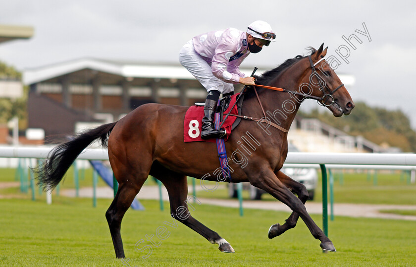 Pleasant-Man-0002 
 PLEASANT MAN (Jason Watson) winner of The Betfair Free Bet Streak EBF Novice Stakes
Haydock 3 Sep 2020 - Pic Steven Cargill / Racingfotos.com