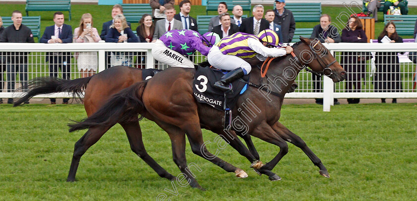 Tinto-0005 
 TINTO (Marco Ghiani) wins The Original Harrogate Water Handicap
Ascot 4 Oct 2019 - Pic Steven Cargill / Racingfotos.com