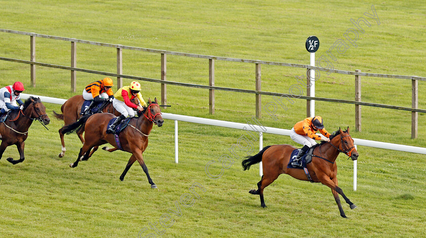 Bold-Decision-0003 
 BOLD DECISION (Hector Crouch) wins The visitbath.co.uk Classified Stakes
Bath 18 Jul 2020 - Pic Steven Cargill / Racingfotos.com