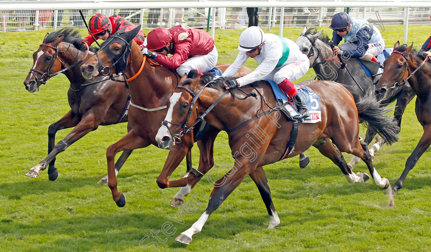 Tamreer-0003 
 TAMREER (centre, Ben Curtis) beats CORELLI (right) and CARADOC (left) in The Sky Bet Handicap
York 23 Aug 2019 - Pic Steven Cargill / Racingfotos.com