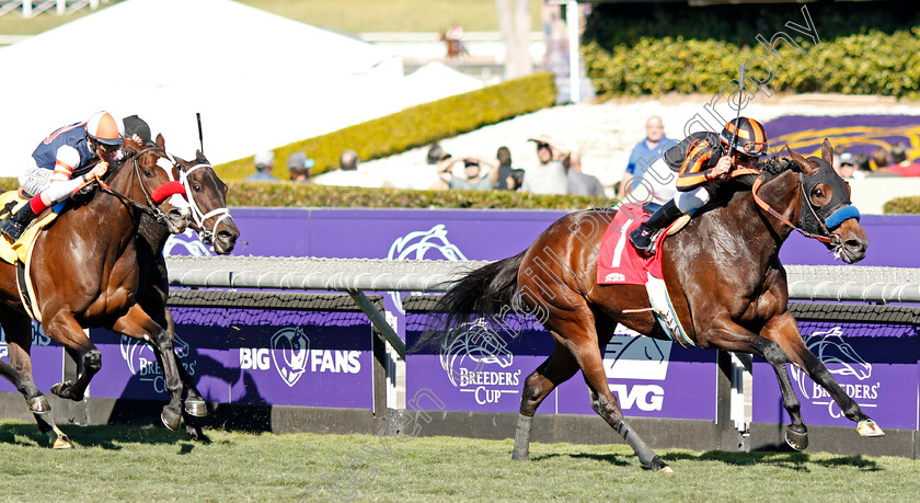 Rayana-0002 
 RAYANA (Joel Rosario) wins Allowance
Santa Anita USA 1 Nov 2019 - Pic Steven Cargill / Racingfotos.com