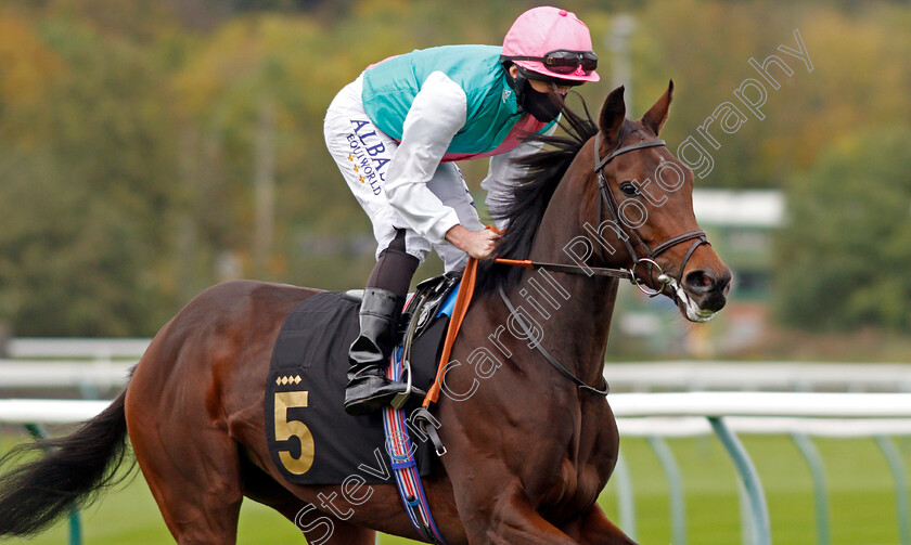 Noon-Star-0005 
 NOON STAR (Ryan Moore) winner of The EBF Maiden Fillies Stakes
Nottingham 14 Oct 2020 - Pic Steven Cargill / Racingfotos.com