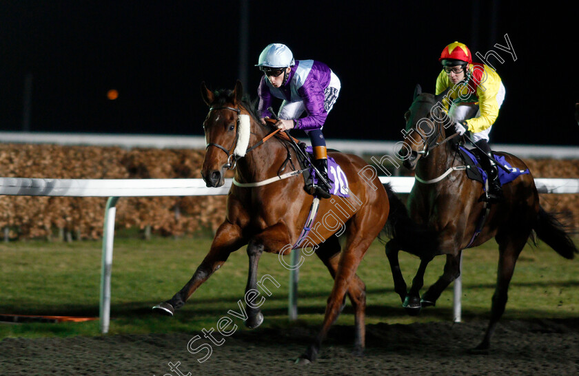 Polar-Light-0001 
 POLAR LIGHT (David Egan) Kempton 21 Mar 2018 - Pic Steven Cargill / Racingfotos.com