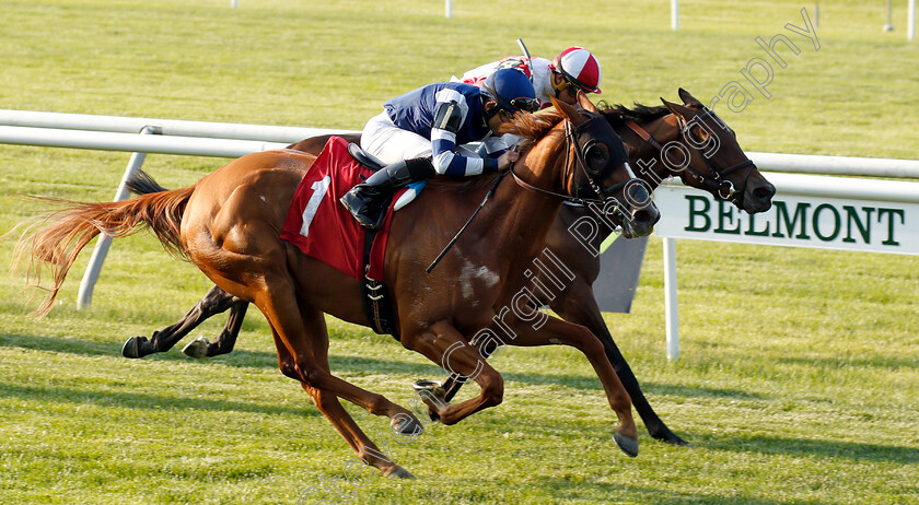 Emmy-Performance-0003 
 EMMY PERFORMANCE (nearside, Joel Rosario) beats COMPETITIONOFIDEAS (farside) in The Maiden Special Weight
Belmont Park 7 Jun 2018 - Pic Steven Cargill / Racingfotos.com