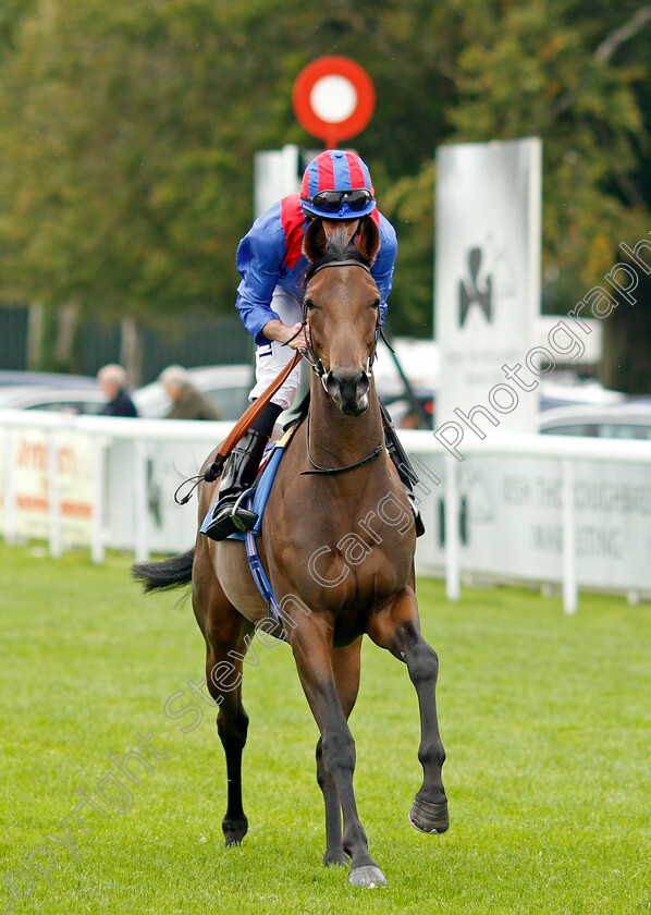 Equal-Share-0001 
 EQUAL SHARE (Ryan Moore)
Salisbury 2 Sep 2021 - Pic Steven Cargill / Racingfotos.com