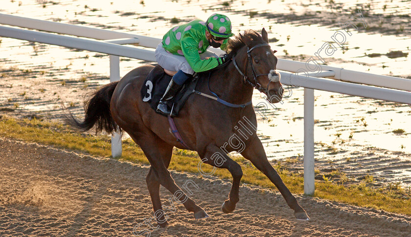 Passional-0008 
 PASSIONAL (Luke Catton) wins The tote Placepot Your First Bet Apprentice Handicap
Chelmsford 18 Feb 2021 - Pic Steven Cargill / Racingfotos.com