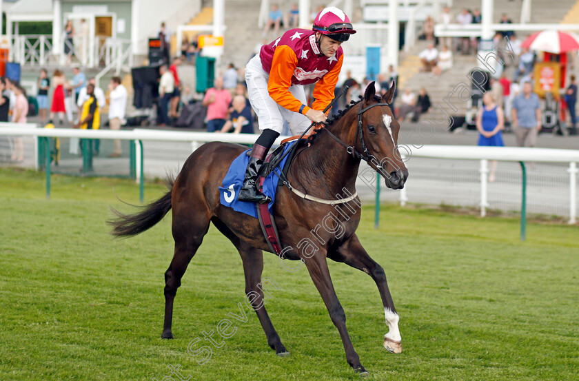 Lincoln-Tale-0001 
 LINCOLN TALE (David Nolan)
Nottingham 16 Jul 2019 - Pic Steven Cargill / Racingfotos.com