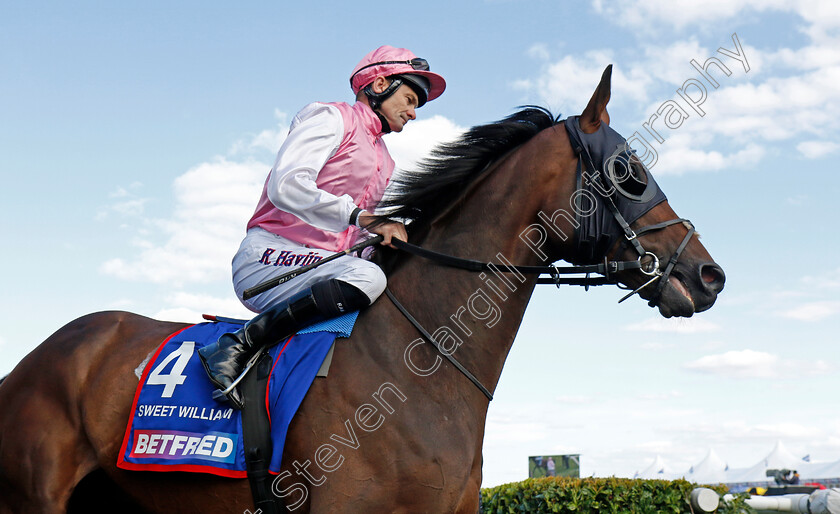 Sweet-William-0005 
 SWEET WILLIAM (Robert Havlin) winner of The Betfred Howard Wright Doncaster Cup
Doncaster 13 Sep 2024 - Pic Steven Cargill / Racingfotos.com