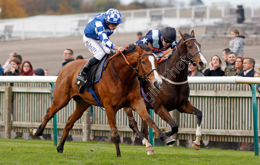 Soto-Sizzler-0006 
 SOTO SIZZLER (left, Ryan Moore) beats BAD COMPANY (right) in The 888sport Handicap
Newmarket 29 Oct 2021 - Pic Steven Cargill / Racingfotos.com