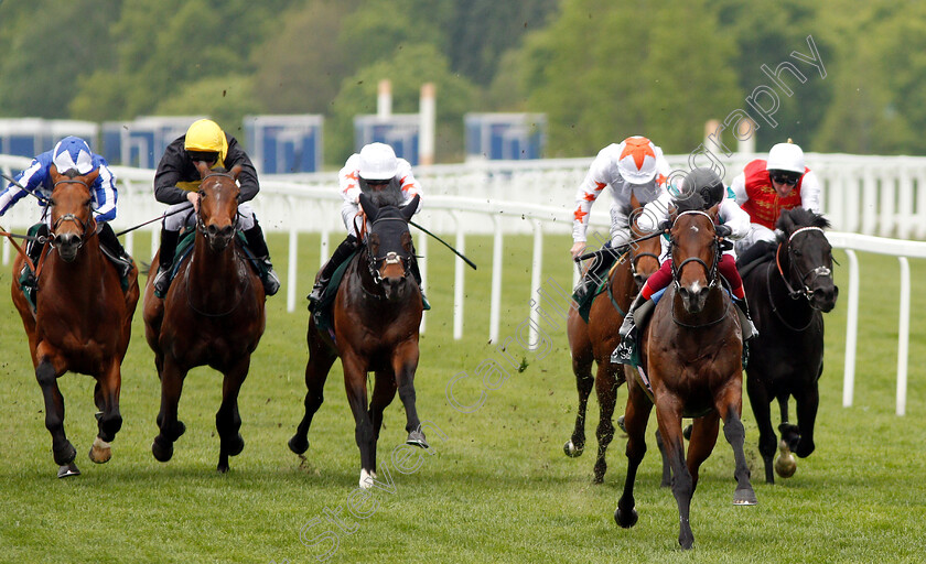 Calyx-0001 
 CALYX (Frankie Dettori) wins The Merriebelle Stable Commonwealth Cup Trial Stakes
Ascot 1 May 2019 - Pic Steven Cargill / Racingfotos.com