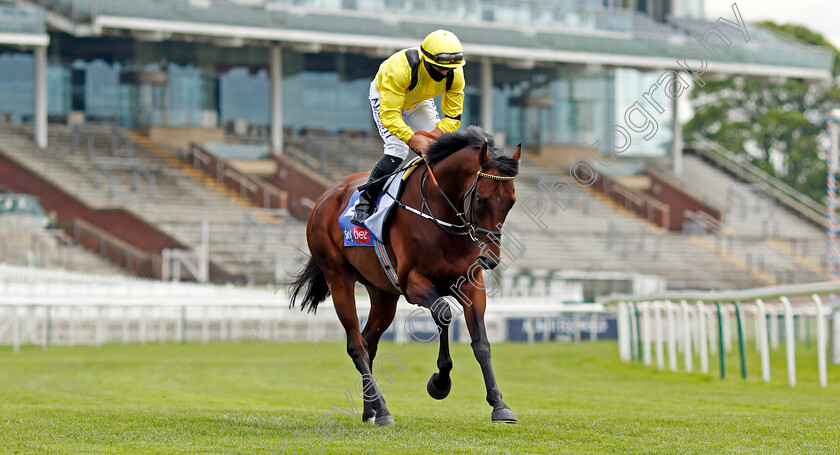 Ilaraab-0001 
 ILARAAB (Tom Marquand) winner of The Sky Bet Race To The Ebor Jorvik Handicap
York 12 May 2021 - Pic Steven Cargill / Racingfotos.com