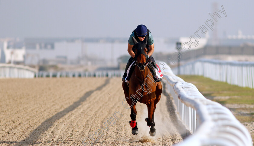 Andromede-0001 
 ANDROMEDE training for the Bahrain International Trophy
Kingdom of Bahrain 14 Nov 2024 - Pic Steven Cargill / Racingfotos.com