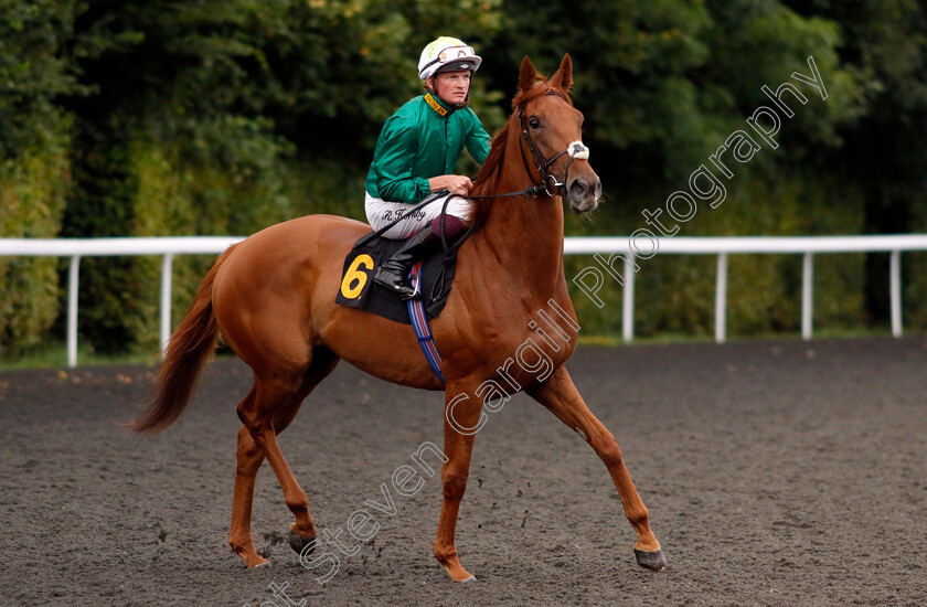 Nowhere-0002 
 NOWHERE (Rob Hornby)
Kempton 7 Aug 2024 - Pic Steven Cargill / Racingfotos.com