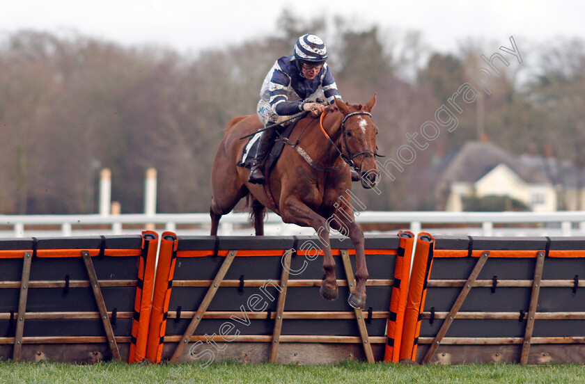 Good-Risk-At-All-0002 
 GOOD RISK AT ALL (Charlie Deutsch) wins The Dingley's Promise Handicap Hurdle
Ascot 19 Feb 2022 - Pic Steven Cargill / Racingfotos.com