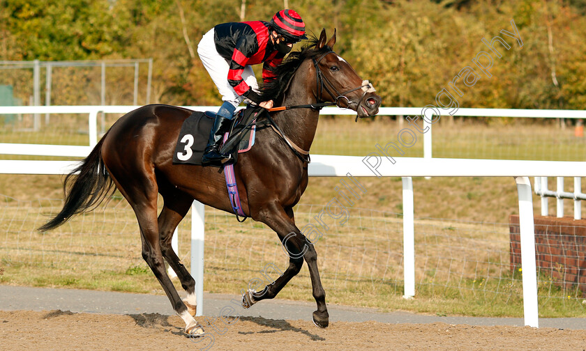 La-Dragontea-0002 
 LA DRAGONTEA (William Buick) before winning The EBF Fillies Novice Stakes
Chelmsford 20 Sep 2020 - Pic Steven Cargill / Racingfotos.com