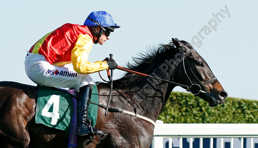 Sister-Sibyl-0004 
 SISTER SIBYL (Tom O'Brien) wins The TBA Mares Handicap Chase Cheltenham 19 Apr 2018 - Pic Steven Cargill / Racingfotos.com