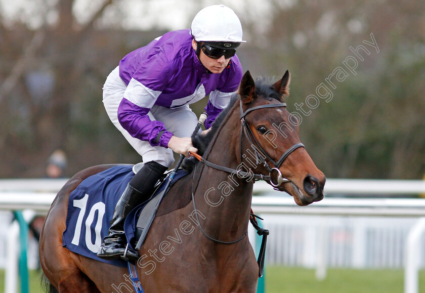 Minnie-T 
 MINNIE T (Callm Shepherd)
Lingfield 1 Dec 2021 - Pic Steven Cargill / Racingfotos.com