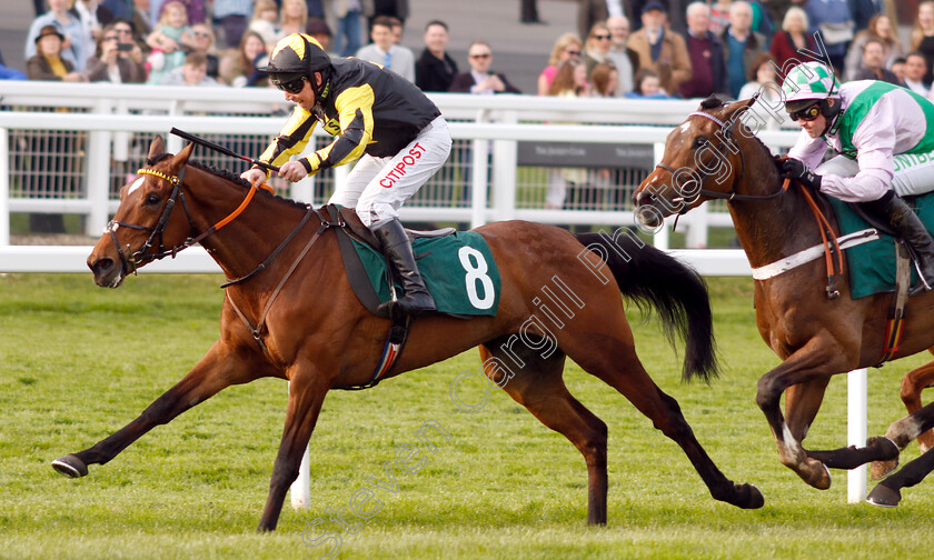 Mystic-Dreamer-0005 
 MYSTIC DREAMER (Leighton Aspell) wins The Spreadex Sports Betting Mares Standard Open National Hunt Flat Race
Cheltenham 18 Apr 2019 - Pic Steven Cargill / Racingfotos.com