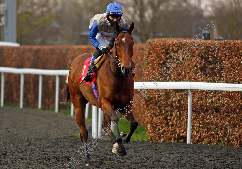 Bonneval-0001 
 BONNEVAL (Benoit de la Sayette)
Kempton 31 Mar 2021 - Pic Steven Cargill / Racingfotos.com