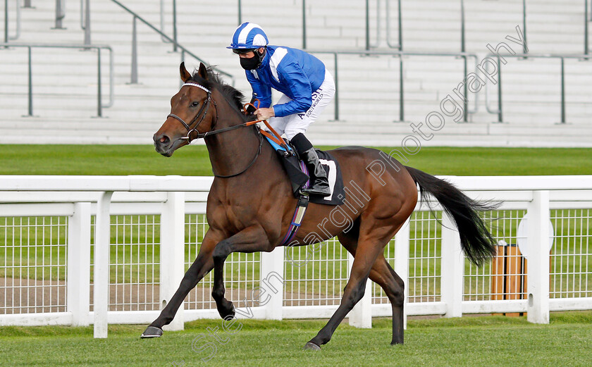 Minzaal-0001 
 MINZAAL (Dane O'Neill)
Ascot 25 Jul 2020 - Pic Steven Cargill / Racingfotos.com