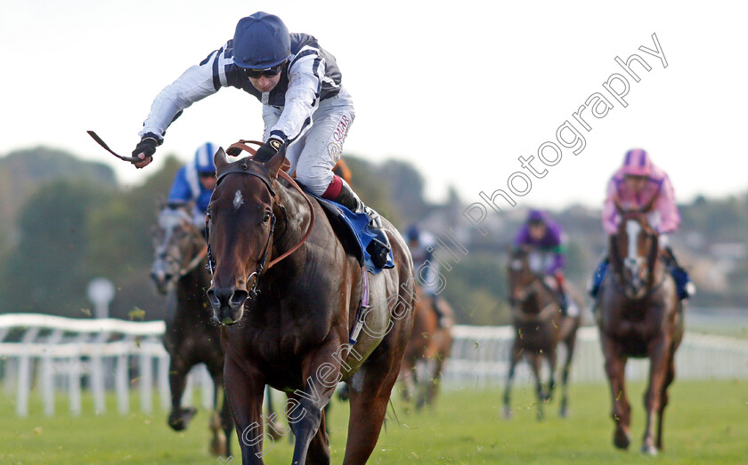 Able-Kane-0005 
 ABLE KANE (Oisin Murphy) wins The Every Race Live On Racing TV Handicap 
Leicester 12 Oct 2021 - Pic Steven Cargill / Racingfotos.com