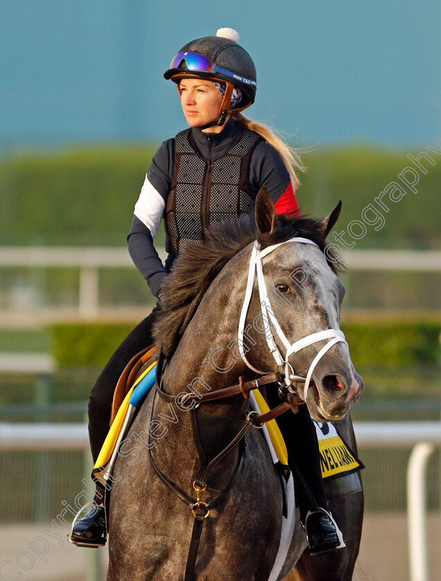 Colonel-Liam-0008 
 COLONEL LIAM training for the Dubai Turf
Meydan, Dubai, 23 Mar 2022 - Pic Steven Cargill / Racingfotos.com