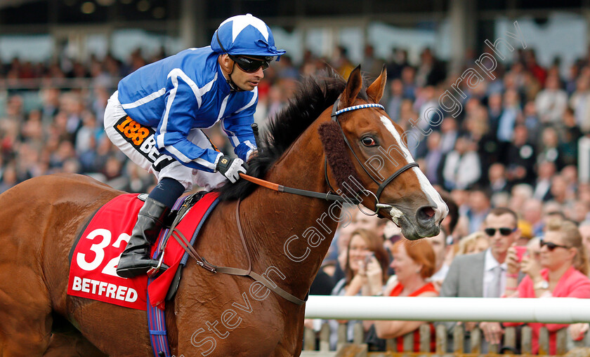 Withhold-0006 
 WITHHOLD (Silvestre De Sousa) wins The Betfred Cesarewitch Handicap Newmarket 14 Oct 2017 - Pic Steven Cargill / Racingfotos.com